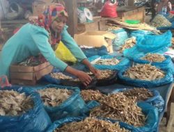 Gelombang Air Laut Tinggi, Harga Ikan Kering di Pasar Tiku Merangkak Naik