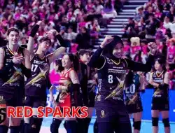 Jadwal Lengkap Daejeon Red Sparks Putaran 3 di Korean V-League 2024/2025