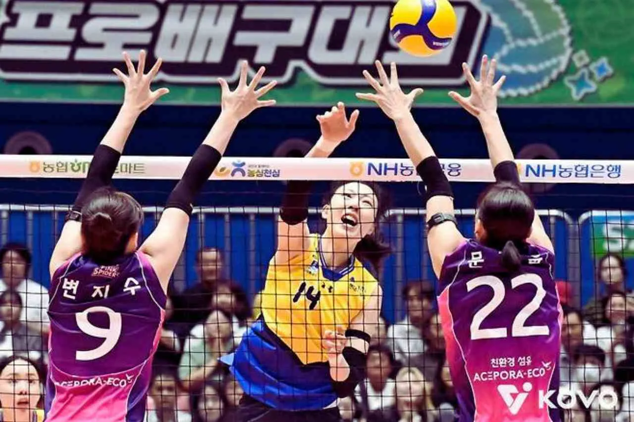 Hyundai Hillstate Hantam Heungkuk Pink Spiders 3-1 di KOVO Cup 2025
