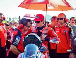 Siapa Pengganti Marc Marquez di Ducati? Michele Pirro dan Bulega Jadi Kandidat Terkuat