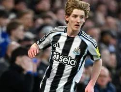 Anthony Gordon Jadi Target Barcelona, Transfer Mengejutkan yang Dinilai Masuk Akal